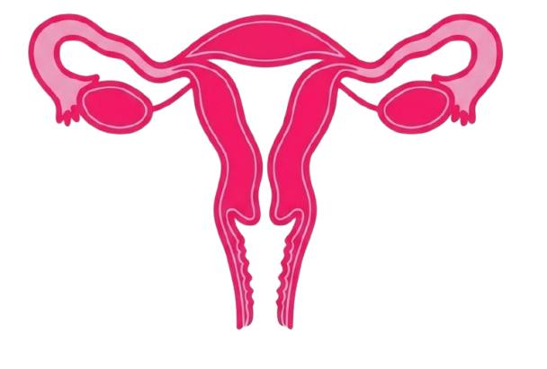 menopause removebg preview